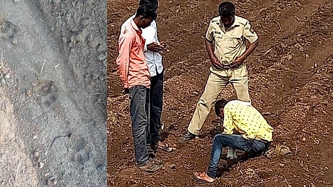 सावधान! करमाळ्यात बिबट्यासदृश प्राण्याचा वावर; वासरावर हल्ला