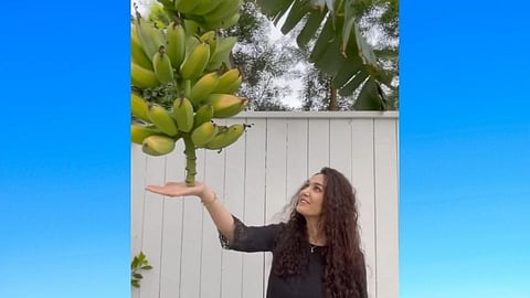 Preity Zinta with Banana