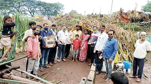 पावसामुळे सह्याद्री कारखान्याचे गाळप बंद