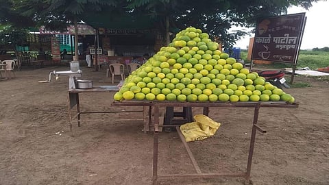 Sweet Lemon/Mosambi