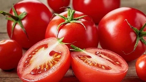 टोमॅटो (Tomato)
