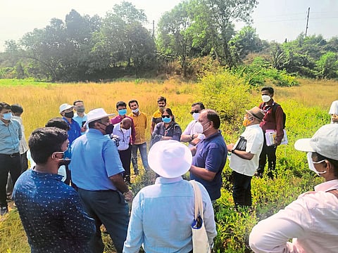 कोकण रेल्वेच्या दासगांव पूल व भरावाची पाहणी