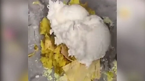 masala dosa icecream