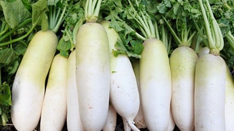 Radish Benefits