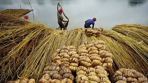 ज्यूट कॉर्पोरेशन ऑफ इंडियामध्ये सरकारी नोकऱ्या! 'या' पदांची होतेय भरती