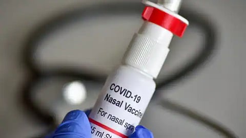 भारत बायोटेक : इंट्रानेसल बूस्टर डोसच्या ट्रायलला DGCI ची परवानगी