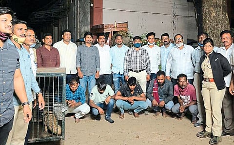 खवले मांजराची तस्करी करणाऱ्यांवार वनविभागाची कारवाई