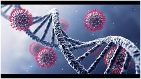 health news update Scrub after Corona swine flu 2 patients in nagpur