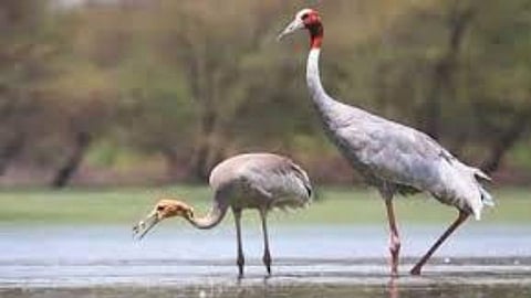 Kalindi Biodiversity Park