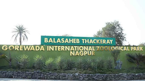 nagpur zoo park