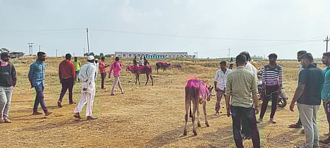 Satara