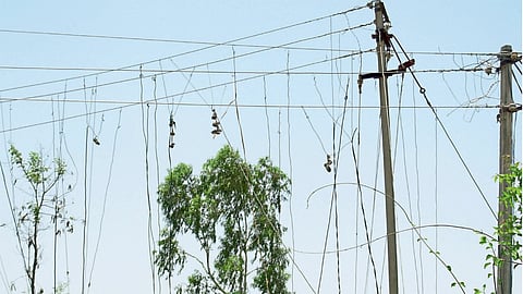 Electricity Supply