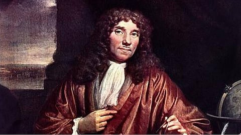antonie van livenvok
