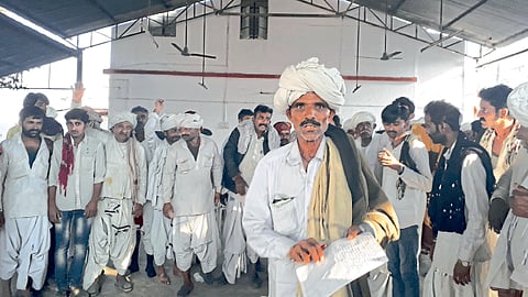 If camels die will Maneka Gandhi give compensation