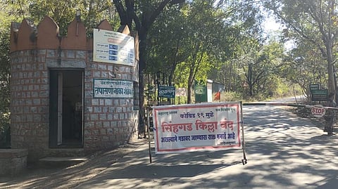 corona and tourists update