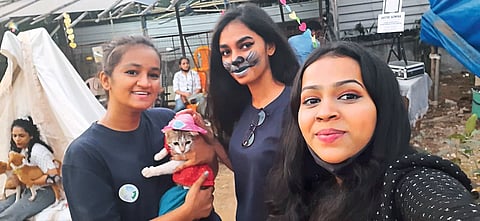 प्राण्यांसोबत फोटो, टॅटू, ग्रूमिंग अन् बरंच काही...