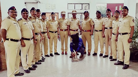 Nashik police take bold action against sandalwood thief in Jalna Marathi Crime News