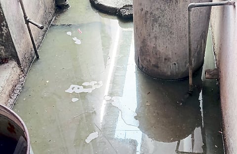 Filled chamber the usual headache plight people Cidco nanded