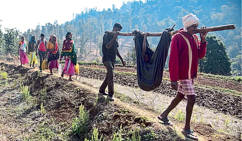 tribals from nashik no roads no electricity no medical facilities in umbarmal peth tehsil