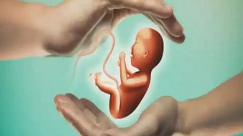 The embryo will develop outside the womb