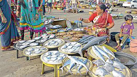 Rules must followed for sustainable fishing