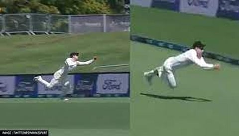 will young catch 2022