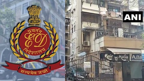 EDचं मोठं ऑपरेशन; 'हसीना पारकर'च्या घरावर छापा, एक जण ताब्यात