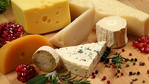 Eating too much cheese can be harmful to the body