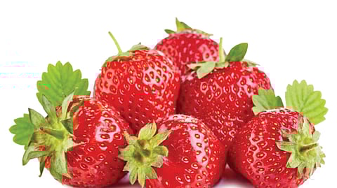 strawberry