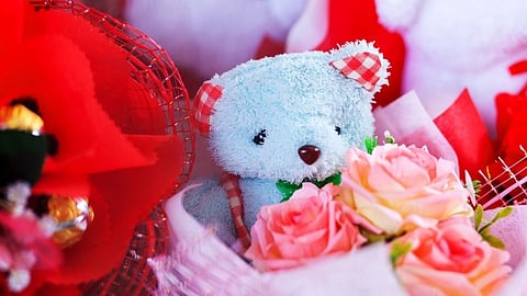 गर्लफ्रेंडला टेडी बेअर देताय? आधी हे वाचा