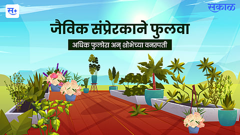 More flowering and ornamental plants through biological hormones