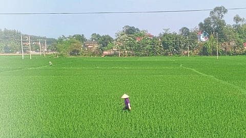 Agriculture