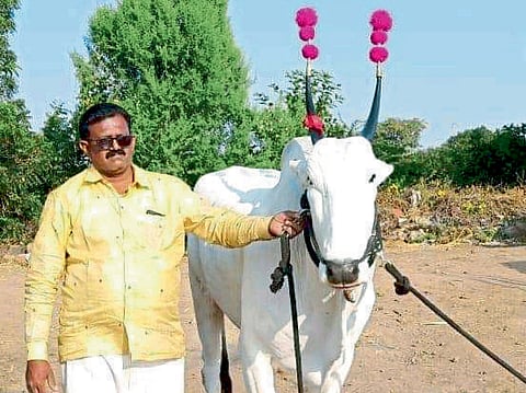 Transformation into agriculture from Gopalan organic fertilizer solapur