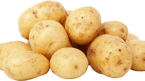 बटाटा