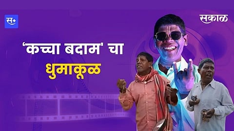 ‘कच्चा बदाम'चा धुमाकूळ
