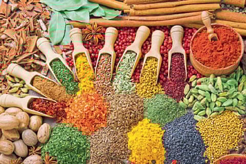 Identify adulteration when shopping Spices are expensive kolhapur