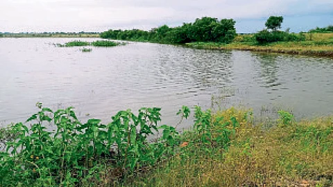 World Water Day 2024