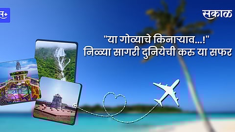 ''या गोव्याचे किनाऱ्याव...!'' निळ्या सागरी दुनियेची करु या सफर