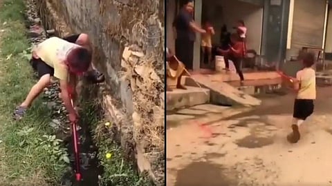 Viral Video