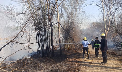 तळजाई टेकडी वन विभागात लागलेली आग विझवतात अग्निशमन दलाचे जवान व वन कर्मचारी