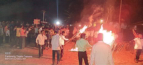 होळी उत्सव