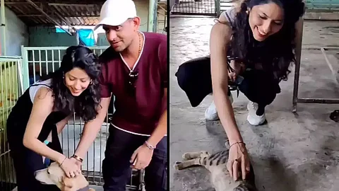 Abhidnya Bhave celebrates her birthday with her furry friends- Street Dog's and Cats