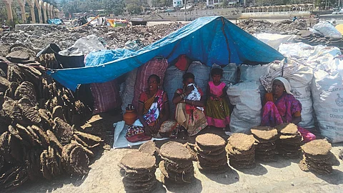 Adivasi
