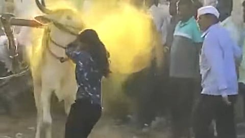 Diksha Vikas Parve_Junnar girl