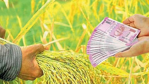 Cabinet Decision Six thousand rupees per year to farmers Implementation of Namo Mahasanman pm kisan sanman scheme