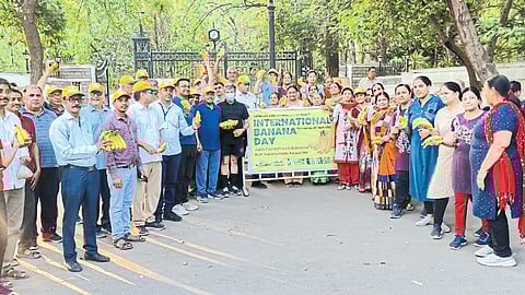 World Banana Day celebration in jalgaon