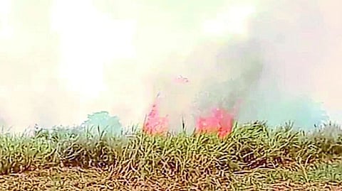 Field fire due to short circuit