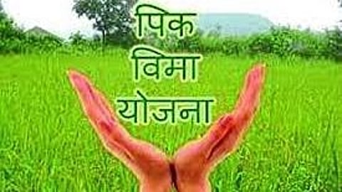 crop insurance scheme latest marathi news