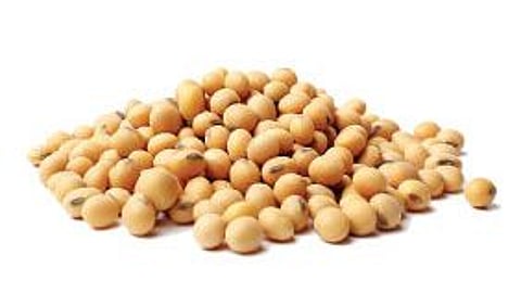 farmer agricultural news summer crops sowing status in nanded