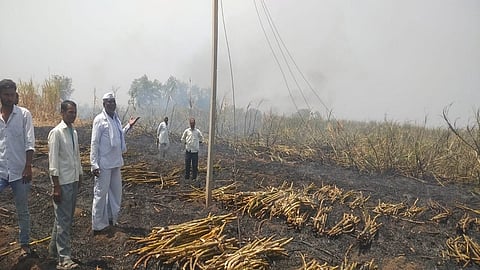 Sugarcane And Aurangabad News